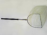 No13