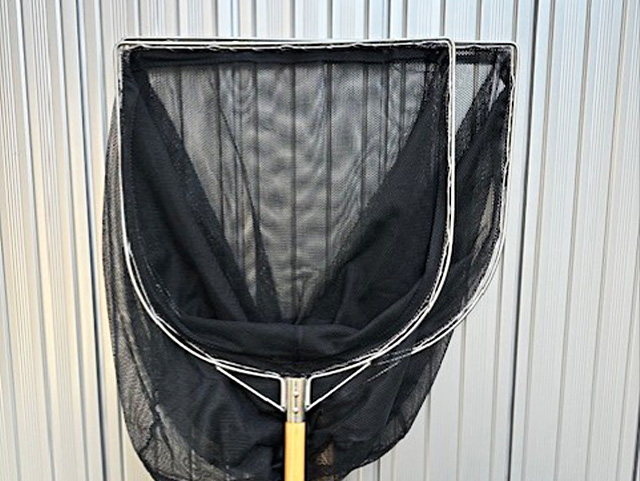 BL-50・60比較