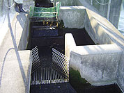調査トラップ